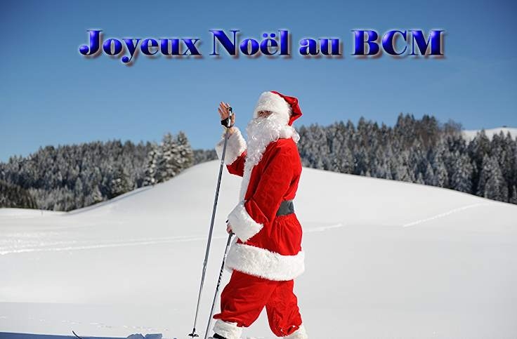 JOYEUX NOEL ET BONNE FIN D'ANNEE
